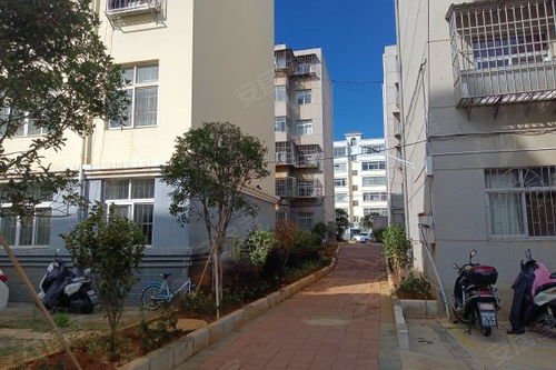 曲靖燃料厂一生活区居住体验与周边房产市场观察